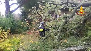 mercogliano-albero-cade-su-abitazione