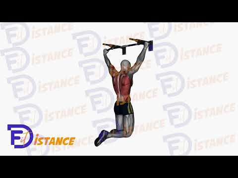 Exercice Traction à prise large