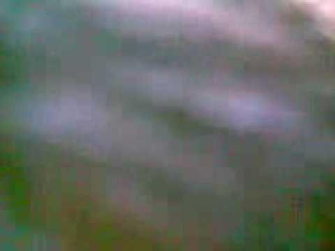 il maro e il rogo!!!i meglio