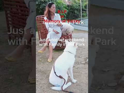 R.I.P in Memory of Valsky