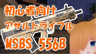 【Ironsight】ARならこれがおすすめ！MSBS 556B【実況】