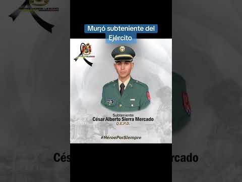 Subteniente mur¡ó en maniobra de un acorazado.