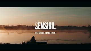 Sensibil Music Video