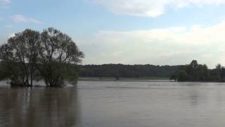 preview picture of video 'Hochwasser Mulde [Wiesenthal - Klosterbuch | 04.06.2013]'