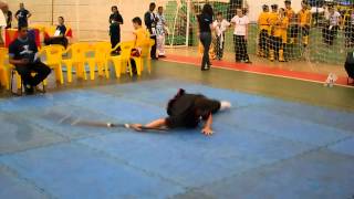 preview picture of video '4º Campeonato Regional de Kung Fu Fundação Sinhá Junqueira'