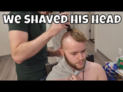 We Shaved His Head