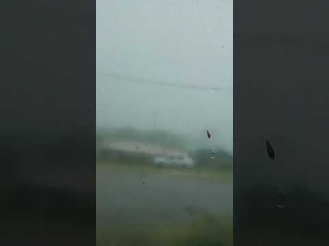 Capão do Leão na rua  temporal de quinta 12/02/2026