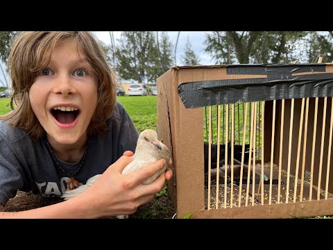 YouTube Thumbnail