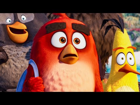 All The Funniest Scenes From The Angry Birds Movies