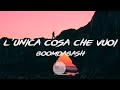 L'unica Cosa Che Vuoi - Boomdabash (Lyrics | Testo)