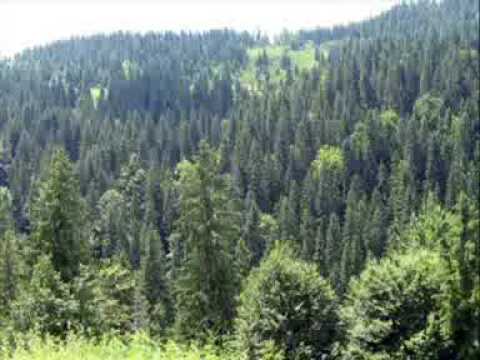 Arieseni, oaza din inima Tarii Motilor Judetul Alba