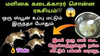 எலி தொல்லையா?.அனுபவ உண்மை இதமட்டும் வைங்க உங்க வீட்டு பக்கம் எலி ஜென்மத்துக்கும் வராது/rat problem