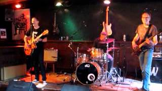 44 BLUES NL performing Can&#39;t Teach an Old Dog New Tricks