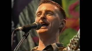 Billy Bragg Live Big Day Out Festival 1996