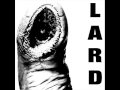 Lard | The Power of Lard