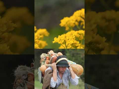 🌾 SOY HIJA DE CARCASÍ 🏔️ | Colombian Countryside Song 🇨🇴 #Carcasí #Santander #CulturaCampesina