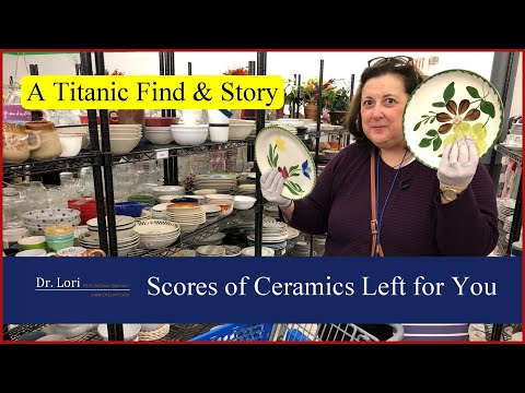 Titanic Find & Scores of Blue Ridge, Staffordshire, Nippon Ceramics, more - Thrift with Me Dr. Lori