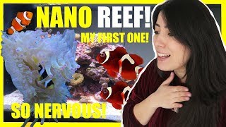 NEW NANO Saltwater Aquarium | Setting Up My Reef Tank