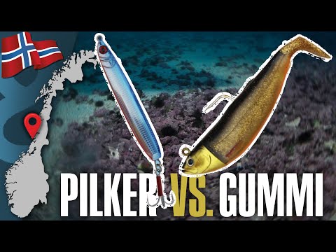 Pilker vs.  Gummifisch - das Köder Duell in Norwegen 🇳🇴