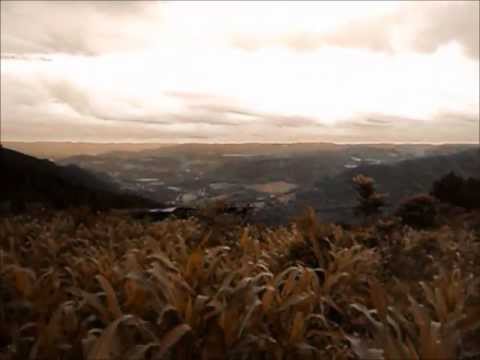 Minágoris - Tetrahidrocanabinol