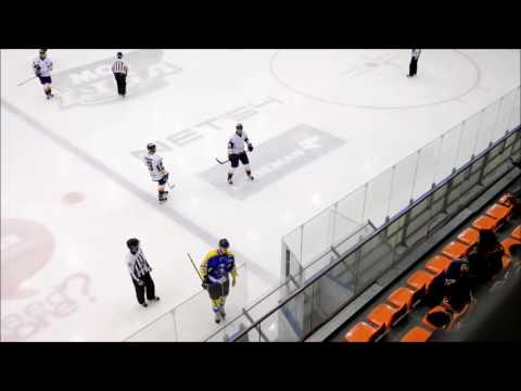 MOL102 ASC Corona Brasov - HK Beograd   5:2 (1:1, 0:0, 4:1) 2016.11.14