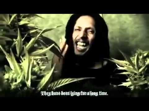 Julian Marley --  Boom Draw