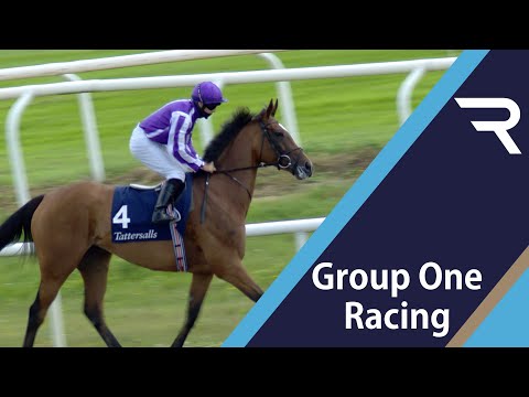 2020 Tattersalls Gold Cup (Group 1) - Racing TV