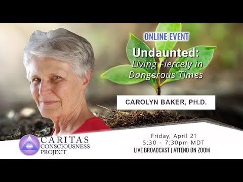 Carolyn Baker, PhD | Undaunted: Living Fiercely in Dangerous Times