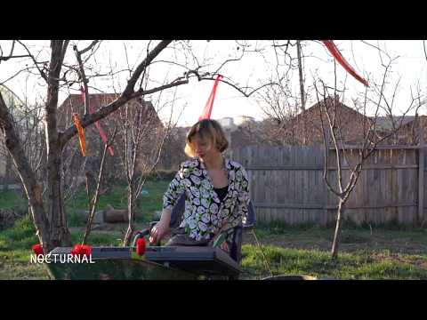 Blerta Kosova Live Dans Le Jardin