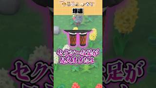 【#あつ森 】やっとの思いで離島ガチャを始めたら爆速で終了した件#あつまれどうぶつの森 #どうぶつの森  #ゲーム実況
