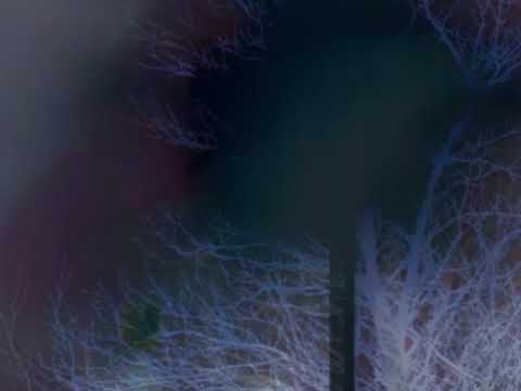 Feberdröm - Excerpt from The Passing 1