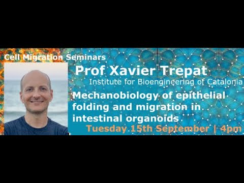 Cell Migration Seminar #17: Xavier Trepat