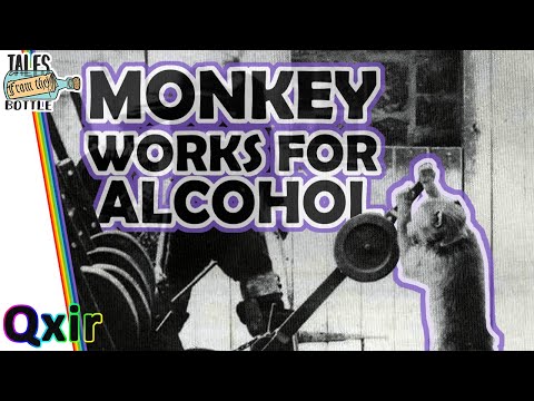 狒狒當鐵路信號員？你沒看錯！一隻狒狒在火車站工作長達9年 Railway Employs Baboon | Tales From the Bottle