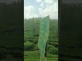 Endless Beauty Of Nature