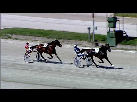 Napoli Trotto 05/05/2023 - 2ª prova di qualifica