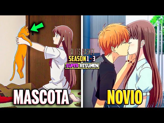 Vídeo relacionado con Anime y Gatos Amante para Adolescente Manga Kawaii Graphic Otaku Camiseta