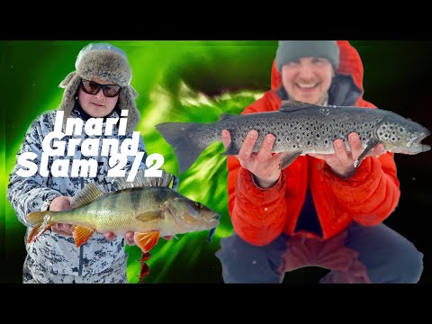PILKKIMISTÄ LAPISSA || TAIMENTA, AHVENTA, HARJUSTA, SIIKAA ja HAUKEA || INARI GRAND SLAM 2/2