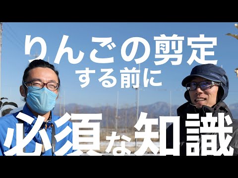 リンゴの木を剪定して豊作にする方法 大きなリンゴのノズルの芽