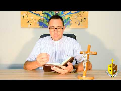 "Gritar com a vida", o Evangelho - TERÇA-FEIRA 21-11-2017