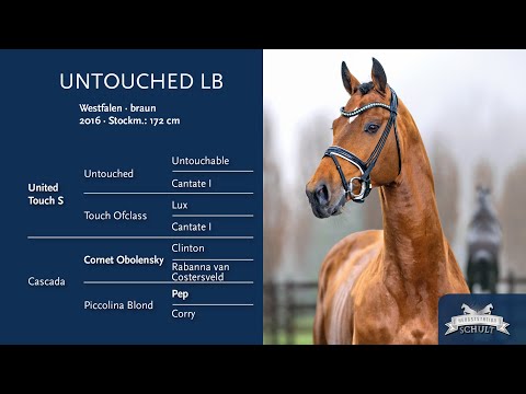 Untouched LB v. United Touch S - Cornet Obolensky auf unserer Hengstschau 2023