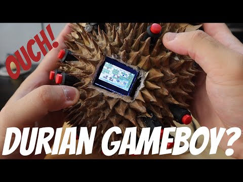World's Most DANGEROUS Gameboy (Durian | PokeBoy)