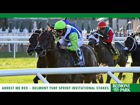 Arrest Me Red- 2021 - The Belmont Turf Sprint Invitational