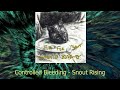 Controlled Bleeding / Doc Wör Mirran - Pets For Meat / The Gylsboda Snake