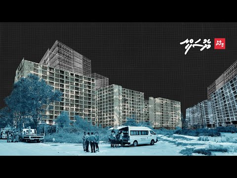 ރީތި، ތަނަވަސް، ހިތްގައިމު ފްލެޓްތަކެއް