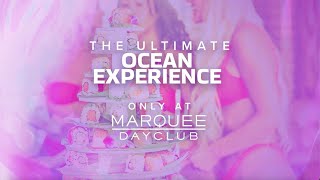 Ultimate VIP Cabana Side Chef Experience at Marquee Dayclub