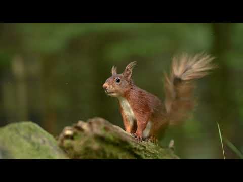 Welcome to Yorkshire, epic drone footage