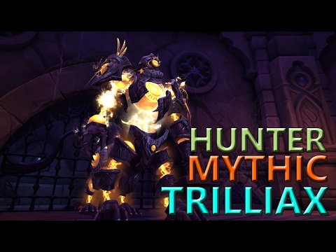 Trilliax Mythic - Hunter MM PoV | Guild The Amazing Zoo - EU-La Croisade Ecarlate