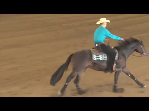 190906 Non Pro Futurity Crisp Conquistador on Ronny Lane Colston