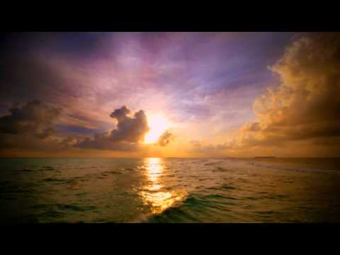 Sander van Doorn feat.Carol Lee - Love is Darkness (Original Mix)