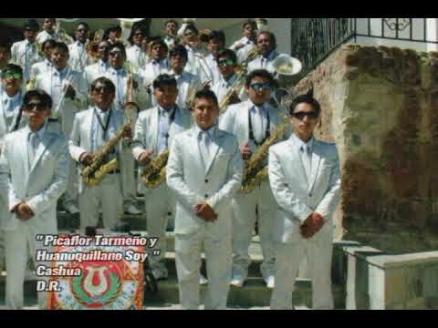 Picaflor Tarmeño y Huanuquillano Soy(Cashua) - Washington y La Banda Sinfónica San Ramón de Tarma